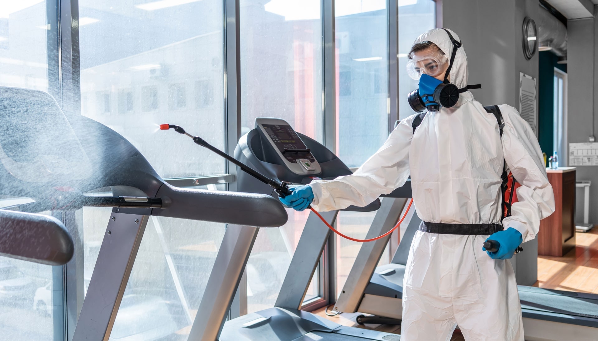 Commercial Mold Removal Services in West Palm Beach