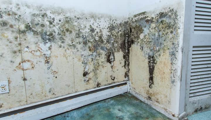 A mold remediation team using specialized techniques to remove mold damage and control odors in a West Palm Beach property, with a focus on safety and efficiency